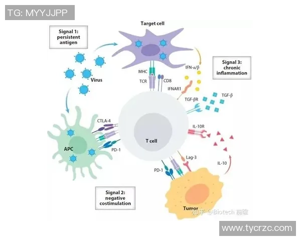 上海乒乓球队实力分析与发展潜力的深度探讨与展望 上海乒乓球队实力分析与发展潜力的深度探讨与展望